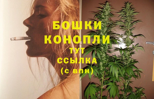spice Лиски