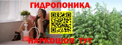 Альфа ПВП Кандалакша