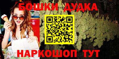 Альфа ПВП Кандалакша