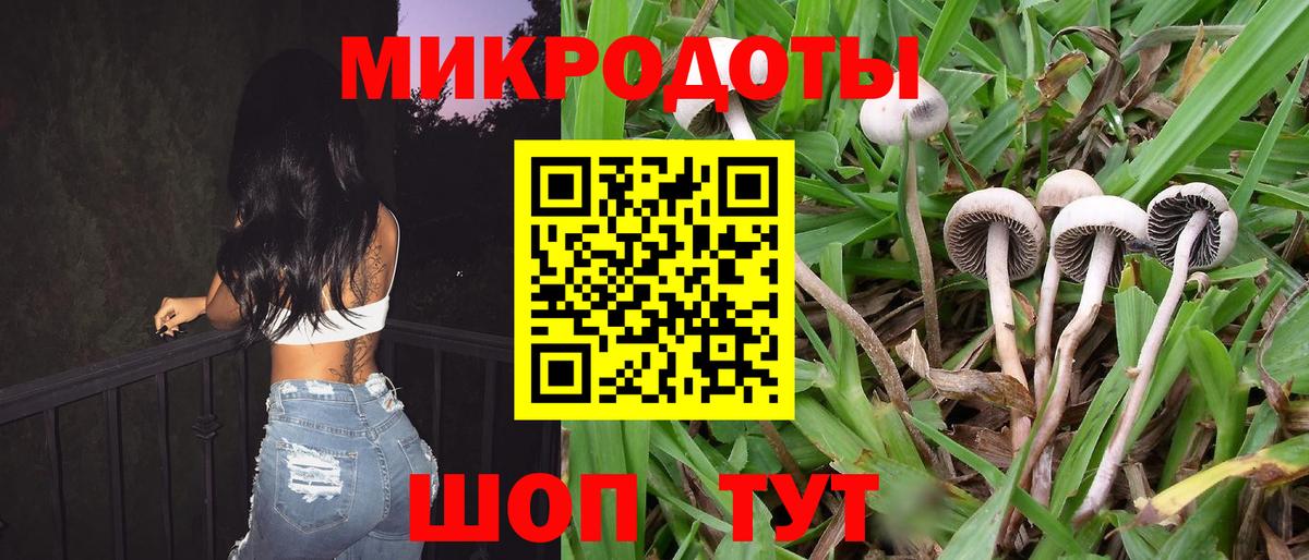 Галлюциногенные грибы прущие грибы  Вход с VPN  Тихорецк  Галлюциногенные грибы мухоморы 