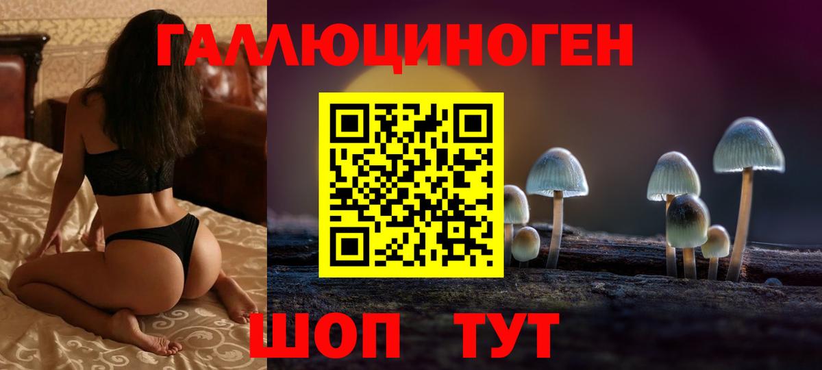 Галлюциногенные грибы GOLDEN TEACHER Тихорецк