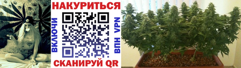 Шишки марихуана SATIVA & INDICA Тихорецк